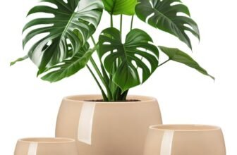 vancasso 3-Pack Ceramic Plant Pots, 3.7/4.8/6.2 Inch Indoor Planters with Saucers & Drainage Hole Planter pots for Indoor Plants and Flower, Brown