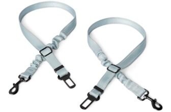 Amazon Basics – Cintura di Sicurezza Regolabile per Cani, Cintura: 67 cm, Ciotola: 13 cm x 5,5 cm/1,5 cm, Nero/Blu/Arancione