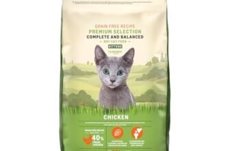 by Amazon Grainfree Recipe Dry Cat Food (Kitten) with Fresh Chicken – 3kg (Precedentemente un marchio Lifelong, stesso prodotto)