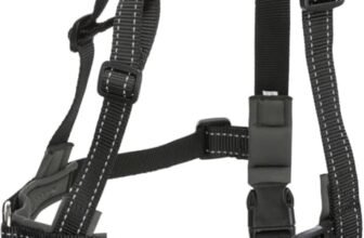 Trixie Lead’n’Walk – Collare per animali piccoli, taglia M/L