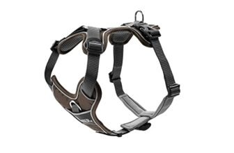 HUNTER DIVO – Pettorina per cani, taglia XS, 34-47 cm, colore: Marrone/Grigio