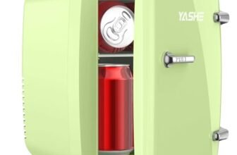YASHE Mini frigo da camera, 4L frigorifero piccolo per la cura della pelle, 220V CA/12V CC, termoelettrico e scaldino per bevande, ufficio, dormitorio, auto, Verde