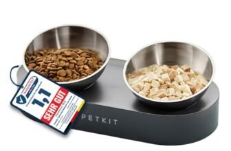 PETKIT Cybertail Ciotole per Gatti, Ciotola Rialzata,in Acciaio Inossidabile,Inclinata,Antiscivolo,Anti Fuoriuscita,per Gatti e Cani di Piccola Taglia