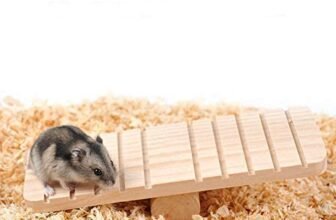 Giocattolo divertente del gioco movimento alternato di legno naturale piccolo animale domestico per il criceto