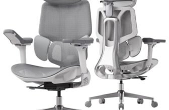 Hbada E3 Pro Sedia Ufficio e Scrivania Ergonomica, con Supporto Lombare Dinamico a 3 Zone, Testiera Regolabile 4D, Braccioli Regolabili 6D (Polipropilene, Gray)