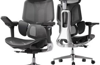 Hbada E3 Pro Sedia Ufficio e Scrivania Ergonomica, con Supporto Lombare Dinamico a 3 Zone, Testiera Regolabile 4D, Braccioli Regolabili 6D (Polipropilene, Nero)