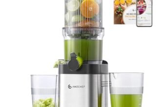 AMZCHEF Estrattore Frutta e Verdura, 120mm Bocca Larga con Taglio Automatico, Slow Juicer a Freddo 60RPM, Estrattore di Succo in Acciaio Inox, Facile da Pulire[Classe di efficienza energetica A+++]