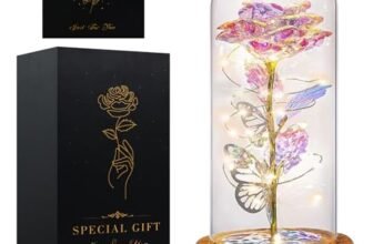 Seachrgif Regalo Festa Della Mamma,Rosa eterna,Regali per Donna,Moglie,Fidanzata, Madre, Sorella, Cognata, Migliore Amica, Suocera e Amica, Compleanno, Matrimonio, Festa Mamma Idee Regalo