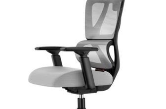 ProtoArc EC100 Sedia da Ufficio Ergonomica – Sedia da Scrivania con Cuscino a Molla da 10 cm, Supporto Lombare, Braccioli e Poggiatesta Regolabili, Sedia Girevole in Rete per Casa e Ufficio, Grigio