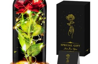 Seachrgif Rosa Eterna Rossa,Regali Festa Della Mamma,Moglie,Fidanzata, Madre, Sorella, Cognata, Migliore Amica, Suocera e Amica, Compleanno, Matrimonio,Festa Mamma Idee Regalo