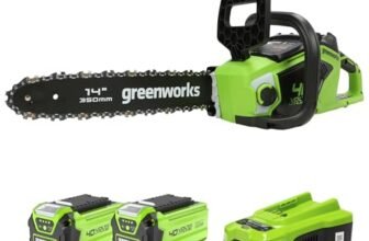 Greenworks 40V 35cm Motosega a Batteria con 2 Batterie da 2Ah e Caricabatterie, Motore Brushless, Velocità Catena 12m/s, 3,5kg, Auto-Lubrificante
