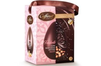 Caffarel Uovo di Pasqua 2026 Delizie d’Italia Fondente e Nocciole intere IGP. salate, Idea regalo Pasqua, in cartotecnica premium, Formato 530g