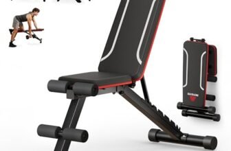 Roygym Panca Palestra Pieghevole, Panca Piana con schienale regolabile in 9 posizioni, Panca pieghevole multifunzione per allenamento, fitness, panca inclinata, carico 300 kg