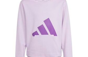 adidas Mixte Enfant Essentials Big Logo Hoodie, Ice Lavender/Active Purple, 13-14 Years
