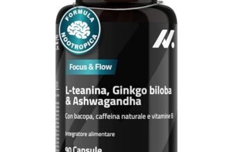 L Teanina, Ginkgo Biloba, Ashwagandha – Nootropico con Bacopa Monnieri, caffeina naturale, vitamine B6 & B12 ad alto dosaggio | Focus, concentrazione & energia senza nervosismo | 90 capsule vegane