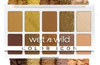 Color Icon 10PanShadow Palette