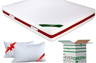 EVERGREENWEB Materasso Matrimoniale 160×190 in MEMORY FOAM & Waterfoam ORTOPEDICO alto 22 cm con Coppia Cuscini Letto GRATIS Lastra Massaggiante, Rivestimento Bianco SFODERABILE per Reti e Letti
