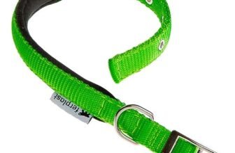 Ferplast Collare Cane Taglia Media Collare per Cani in Nylon Imbottito Regolabile Fibbia Metallica, Misura Collo 32-39 cm, Verde