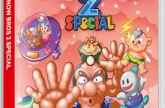 Snow Bros Special 2 NS