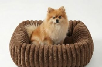 CareCooo Cuccia Cane Interno Taglia Piccola, Letto Rettangolare Sfoderabile e Lavabile, Cuscino Morbido per Cani, Divano per Cani Comodo e Antiscivolo, Marrone, S(51x48x15cm)