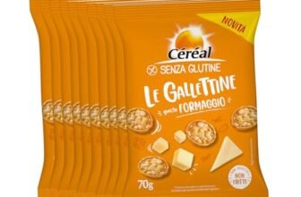 Céréal | Mini Gallettine Senza Glutine ai Cereali, Gusto Formaggio, Display x10