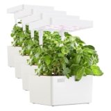 Back to the Roots v1.0 Hydroponic Grow Kit, 2022 Model (Pack of 4)