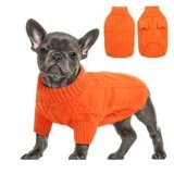 Queenmore Maglione Cane Bassotto Caldo Elastico Collo Alto Ritorto, Halloween Maglioncino per Chihuahua, Bulldog Francese, Barboncino – Taglia XL, Arancione