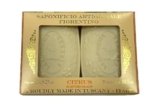Saponificio Artigianale Fiorentino, Agrumi sapone vegetale, set di 2 saponette da 150 g