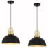 mnikopE Modern Glass Pendant Lights Kitchen Island with Petals Shade, Black Pendant Light Fixtures Adjustable Hanging Light for Dining Room Hallway (E26 Base,1Pack)