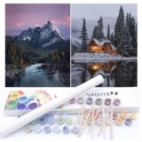 BAISITE Paint by Numbers Kit for Adults Beginners,12″ Wx16 L 2 Pack Canvas for Painting Kits for Adults in Colorful Box-PBN219-220