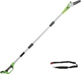 Greenworks G24PS20 Sega Potatrice telescopico a Batteria, Lunghezza Barra 8 Pollice (20cm), Velocità Catena 6,7m/s, 3,2kg, Asta 2.6m, SENZA Batteria 24V e Caricabatterie, Garanzia 3 Anni