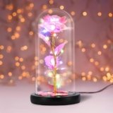 NLIGHTING® Rosa Eterna Galaxy Regalo per la Fidanzata Moglie a San Valentino per Lei Kit la Bella e la Bestia Rosa Eterna Incantata Stabilizzata Galaxy in Campana di Vetro