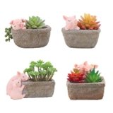 Youfui Pig Decor Pot Cute Piggy Succulent Planter Home Desk Office Fairy Garden Decoration Pig Gifts Ideal Gifts for Women, Mom or Birthday Christmas Pig Lovers Gift