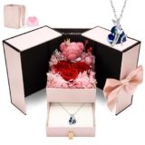 CSYY Rose Stabilizzate, Festa della Mamma Regali di Rose Eterne per Le Donne Collana con Conservate Fatte a Mano Confezione Regalo di Gioielli Regalo per Mamma Sorella Moglie a Natale San Valentino