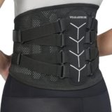 WEARABSTRUSE Back Brace for Lower Back Pain Relief, Zoned Adjustable Design for Custom Fit, Built-in Bionic Brace, Lumbar Support Belt for Men & Women with Lumbar Pad, for Herniated Disc,Sciatica