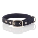 Pet Passion Adjustable Recycled Ribbon Dog Collar for All Pet Breeds, Black, X-Small