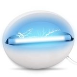 Indoor Fly Trap – Wall-Mounted Bug Catcher for Fruit Flies, Gnats, Mosquitoes & Moths – Insect Killer with Sticky Glue Boards (Included)