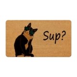 Likjad cat Door mat，Funny Door mats Outside，cat Welcome mat，Funny Door mat，Black cat Door mat Outside Entrance，cat Welcome mat，Funny cat Welcome matt Outdoor，Funny Welcome mat Coir Doormat 17×30 inch