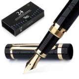 Wordsworth & Black Set Penna Stilografica Primori [Oro Nero]; Pennino Extra Fine, Astuccio Regalo, 24 Cartucce D’inchiostro, Convertitore Di Ricarica, Manuale; Journaling, Calligrafia