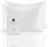 RUIPTSKE Natural Silk Federa, ipoallergenico, 22momme, 100% Seta, 600 Filati, con a Scomparsa Cerniera (white, 50x75cm-2pcs)