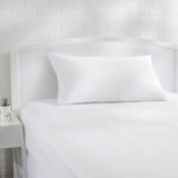 Amazon Basics Federa copricuscino in cotone ipoallergenico, 50 x 80 cm, confezione da 2, bianco