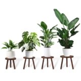 TOMSHUB 4-Pack Wood Plant Stands Indoor Outdoor, Heavy Duty 6-12 Inch Flower Pot Holder Stand, Natural Camphor Pine Wood Modern Large Plant Stool for Multiple Potted Plants, Home Office Garden & Bar Decor