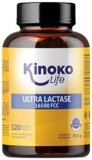 ULTRA LATTASI 16500 FCC 120 Capsule. Accíon Rapido. Migliore assorbimento delle pillole o compresse di lattasi. Per l’intolleranza al lattosio. Enzimi digestivi Premium. Adatto per vegani