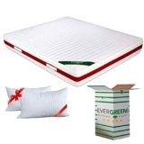 EVERGREENWEB Materasso Matrimoniale 160×190 in MEMORY FOAM & Waterfoam ORTOPEDICO alto 22 cm con Coppia Cuscini Letto GRATIS Lastra Massaggiante, Rivestimento Bianco SFODERABILE per Reti e Letti