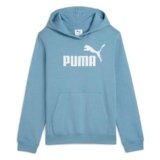 Ess No. 1 Logo Hoodie FL G