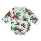 HonestBaby Multipack Short Romper Sets and Dresses 100% Organic Cotton for Infant Baby and Toddler Boys, Girls, Unisex, Emerald Floral, 18 Months