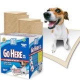 OUT! Go Here Absorbent Pet and Puppy Training Pads