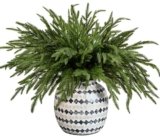 PURPLE STAR 1N 15 Pcs Christmas Norfolk Pine Branches, 19″ Extra Length Fake Greenery Norfolk Pine Stems Sprigs, Artificial Xmas Branches Plants Pines Needles for DIY Craft Garland Home Garden Decor