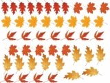 KIT 40 ADESIVI VETRINA VETRINE FOGLIE AUTUNNO STICKERS Vetrofania Autunnale decoro vetro negozio V01