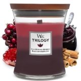 WoodWick Trilogy candela profumata a clessidra media con Pluswick InnovationFrutti di bosco maturati al sole